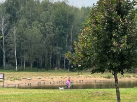 Открывая Фрунзенский