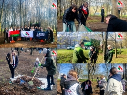 Зелёный массив + дружная команда = порядок