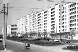 Прогулка по проспекту имени поэта: факты о Пушкине и об одном районе столицы